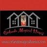 Logo Orlando Magical Homes